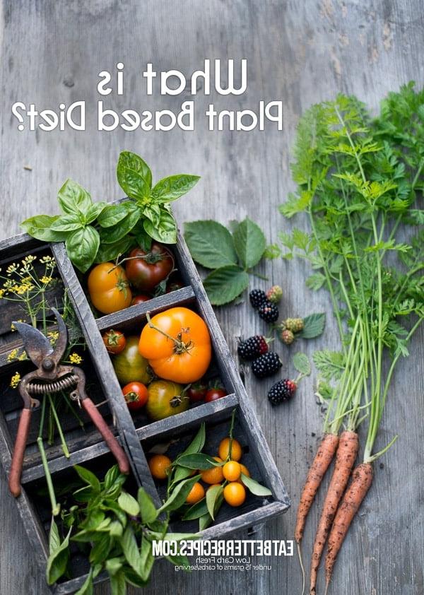 Cos'è la Dieta Plant-Based? Ricette per un'Alimentazione a Base Vegetale