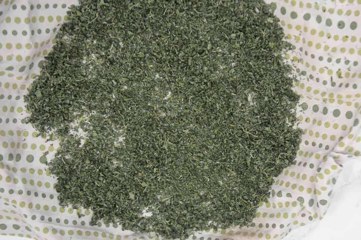 Foglie di methi completamente essiccate al sole.