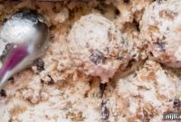 Homestyle Oatmeal Cookie Ice Cream