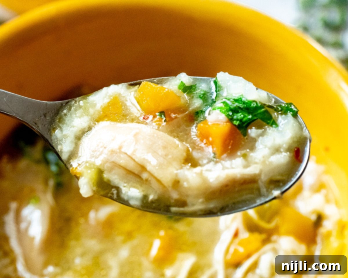 Your New Favorite Instant Pot Chicken and Rice Soup 4 closeup of spoon holding soup