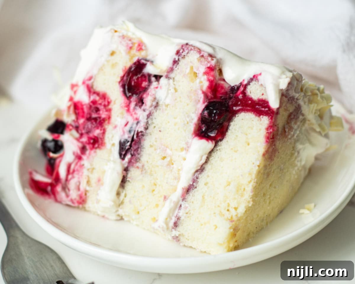 Snow-Kissed Forest Cake 8 A delicious slice of White Forest Cake with layers of cake, cherries, and white chocolate whipped cream.