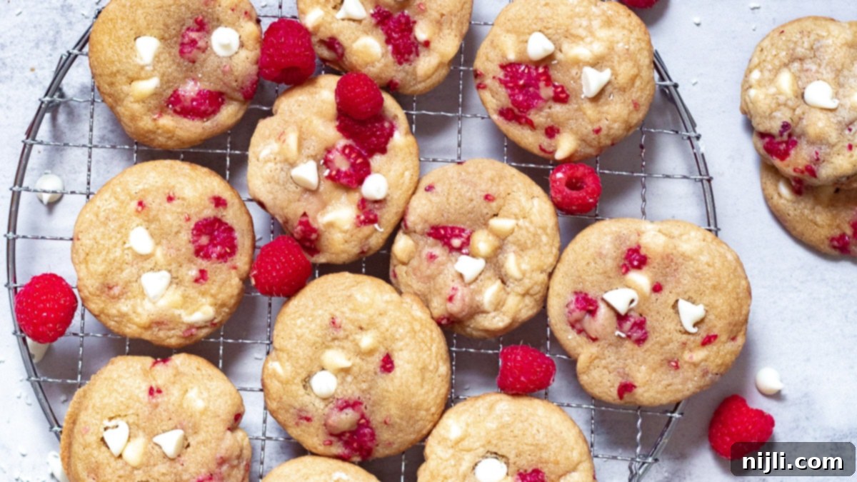 White Chocolate Raspberry Delights 5 raspberry white chocolate cookies from overhead on a rack