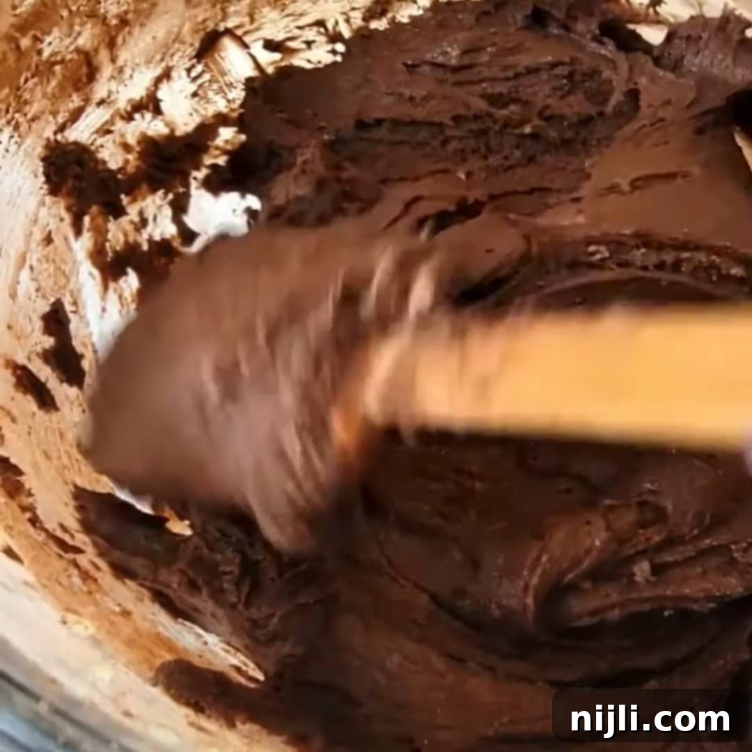Finishing up mixing the batter for condensed milk brownies.