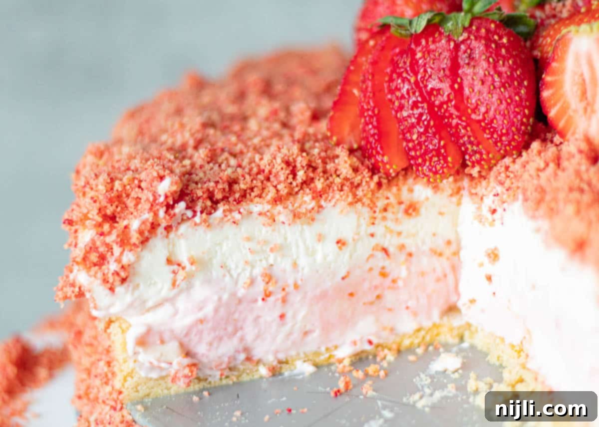 Strawberry Crunch Cheesecake 12 Close-up of a strawberry crunch cheesecake cone, showing layers of creamy filling and crunchy topping.