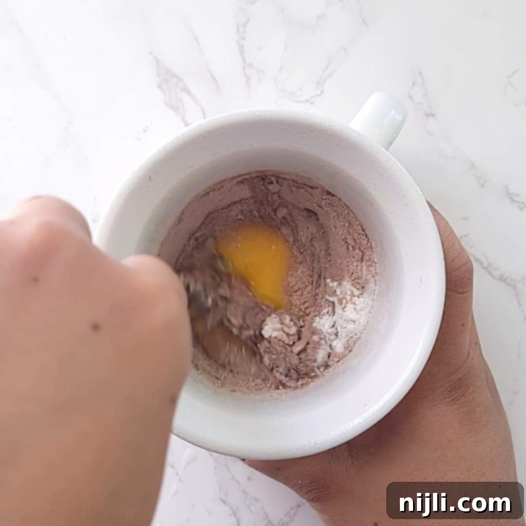 Healthy Protein Mug Cake in Minutes 6 protein mug cake recipe step 2