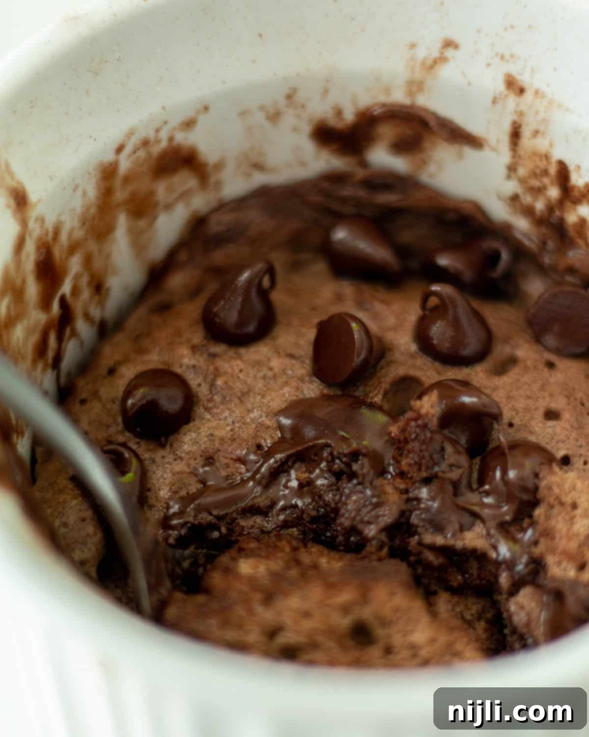 Healthy Protein Mug Cake in Minutes 9 2 ingredient protein mug cake closeup