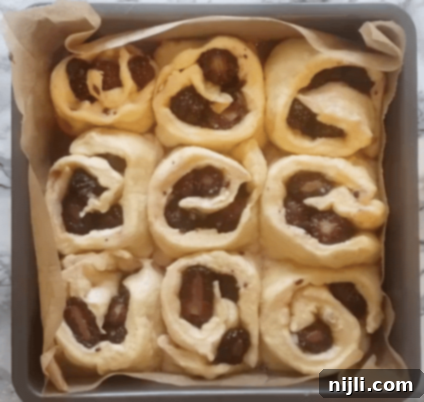 Zesty Blackberry Lemon Rolls 6 blackberry sweet rolls after second rise, ready for oven