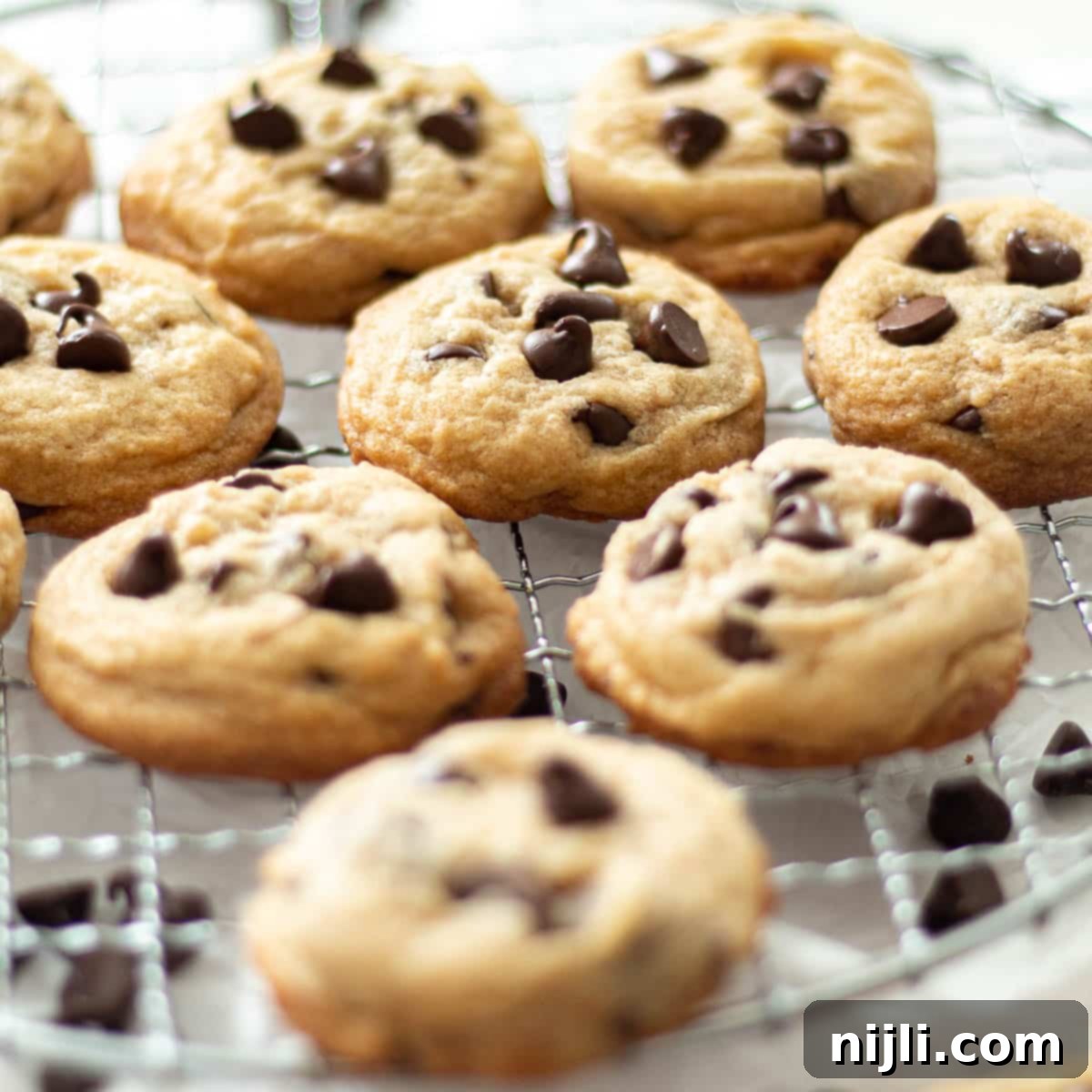 Classic Chocolate Chip Cookies with White Sugar 2 chocolate chip cookies without brown sugar on a rack