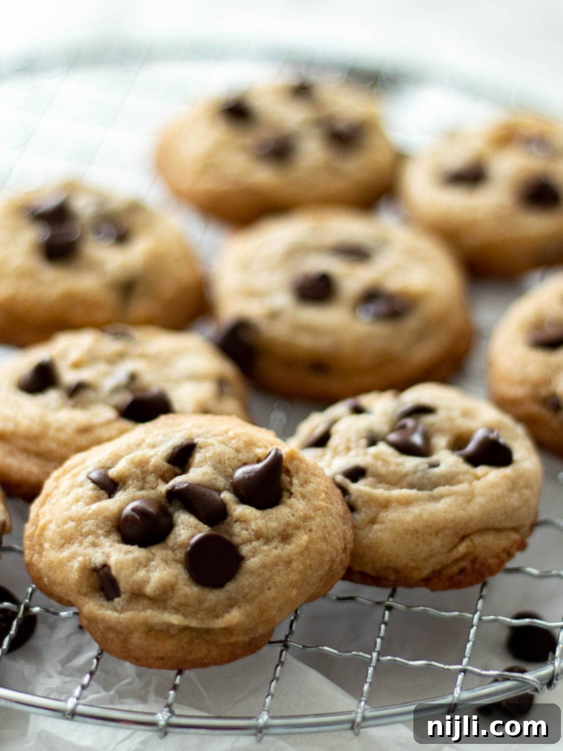 Classic Chocolate Chip Cookies with White Sugar 13 vegan chocolate chip cookies without brown sugar on a rack