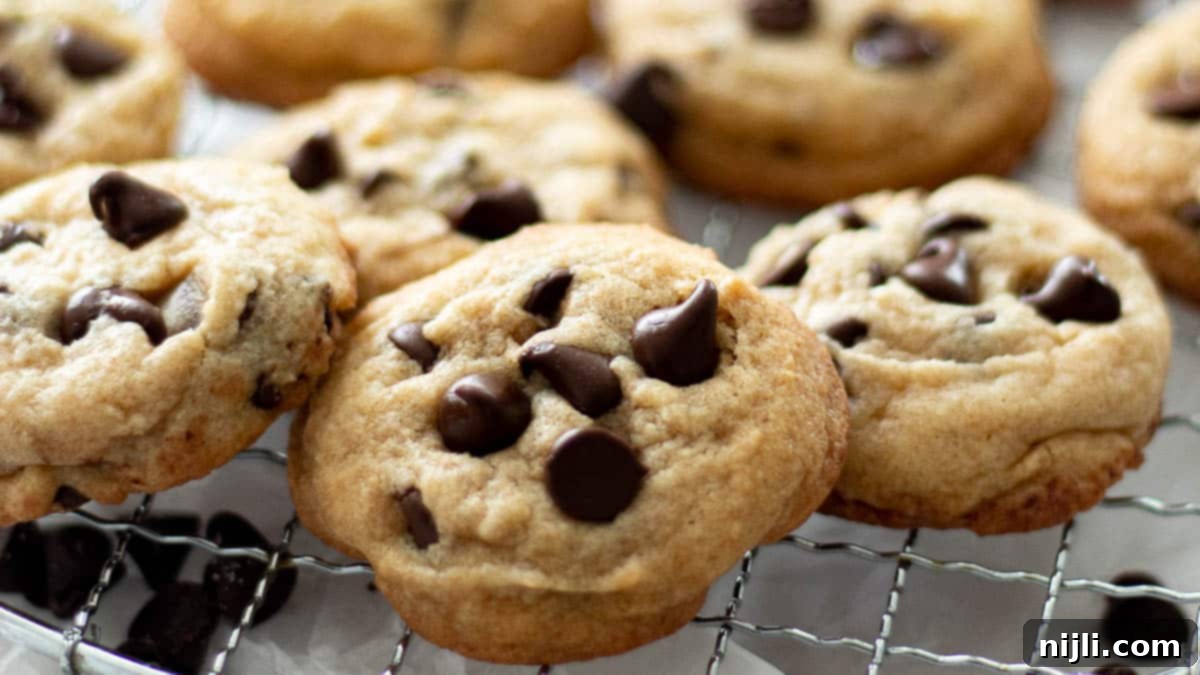 Classic Chocolate Chip Cookies with White Sugar 5 soft chocolate chip cookies without brown sugar on a rack