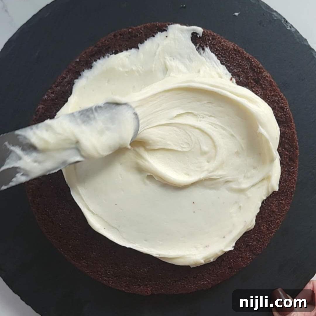 Decadent Chocolate Cake with Velvety Cream Cheese Frosting 12 chocolate cake with cream cheese frosting step 6