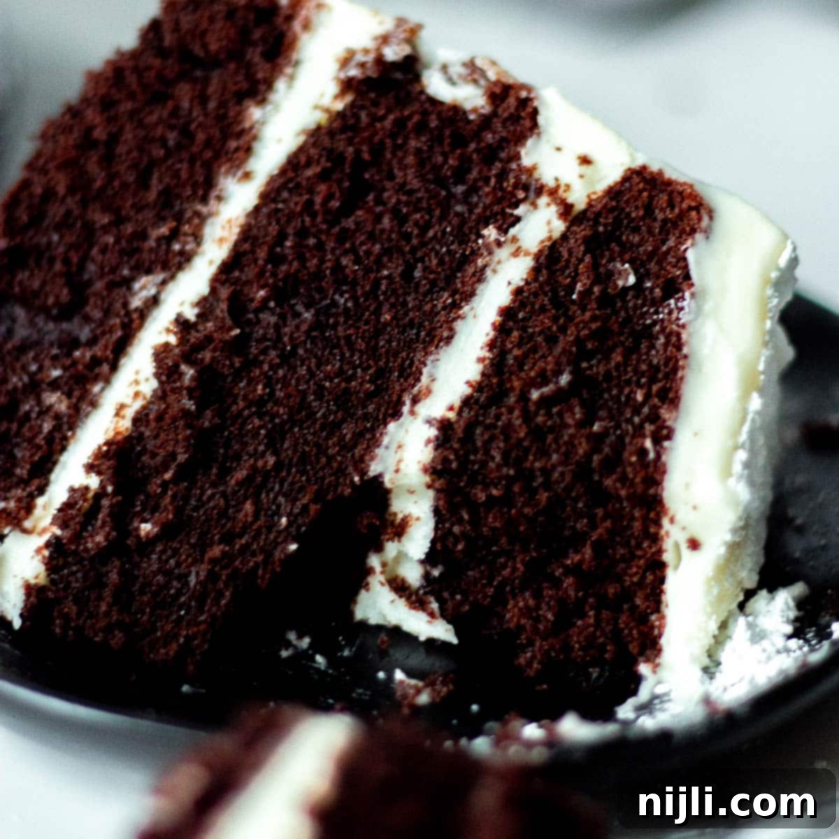 Decadent Chocolate Cake with Velvety Cream Cheese Frosting 5 best cream cheese frosting for chocolate cake