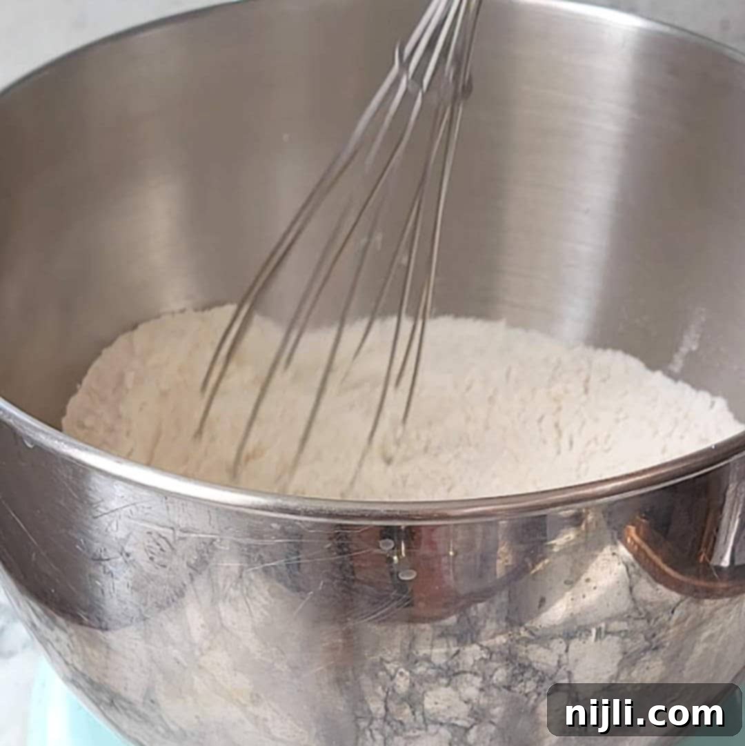 Decadent Chocolate Beignets 7 chocolate beignets step 1: whisking dry ingredients