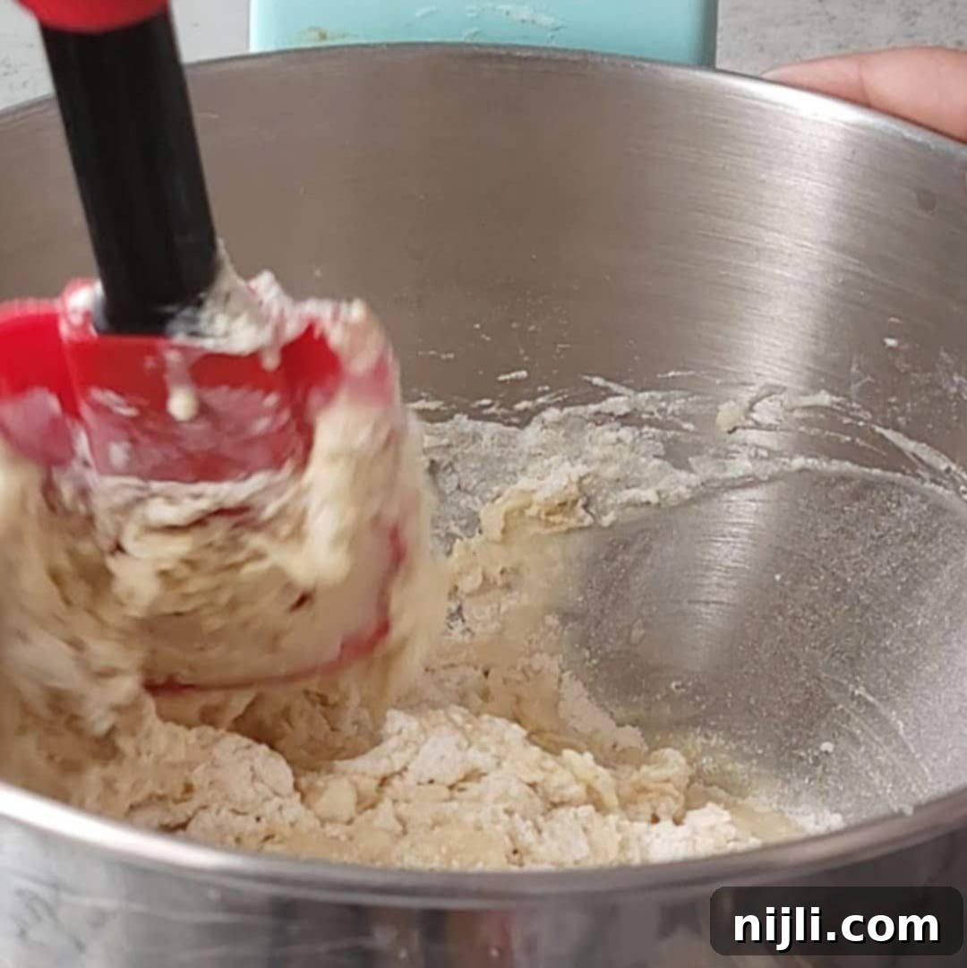 Decadent Chocolate Beignets 9 chocolate beignets step 3: combining wet and dry ingredients