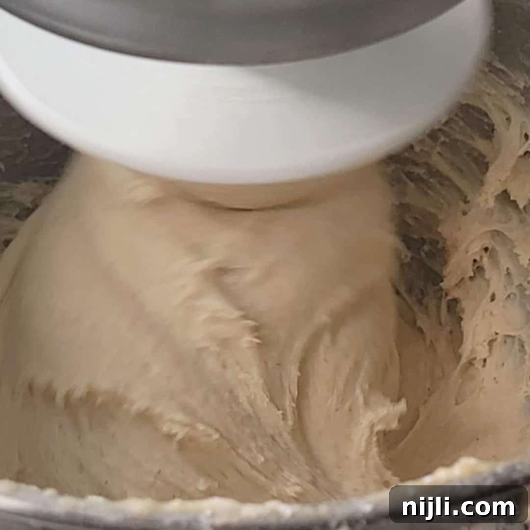 Decadent Chocolate Beignets 10 chocolate beignets step 4: kneading dough