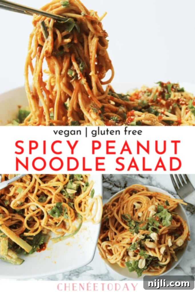 Creamy Peanut Noodle Salad 10 Spicy Peanut Noodle Salad Recipe - Vegan and Gluten Free! | Chenée Today
