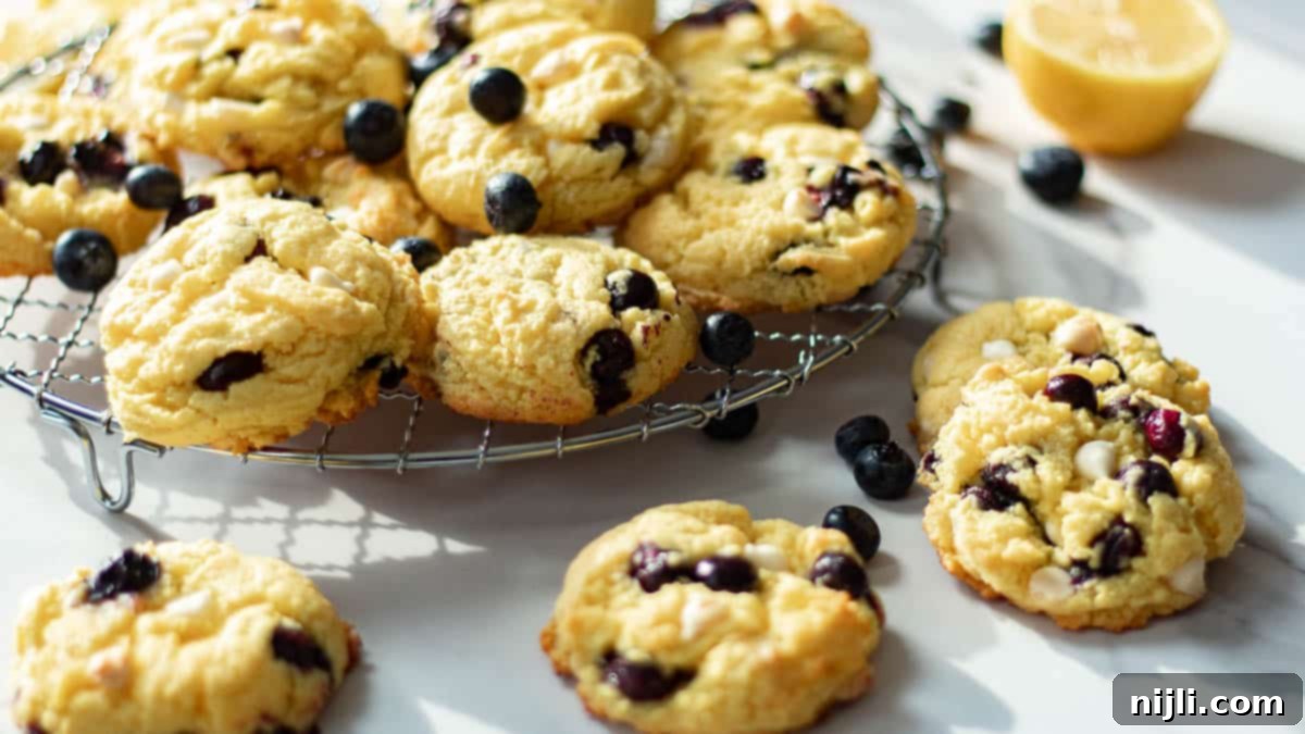 Zesty Blueberry Cake Cookie Bliss 13 lemon blueberry cookies cream cheese