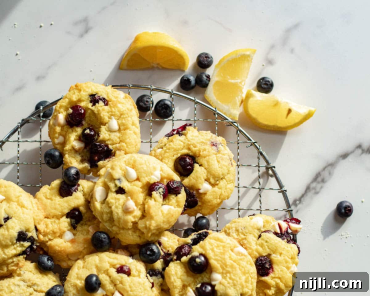 best blueberry lemon cookies