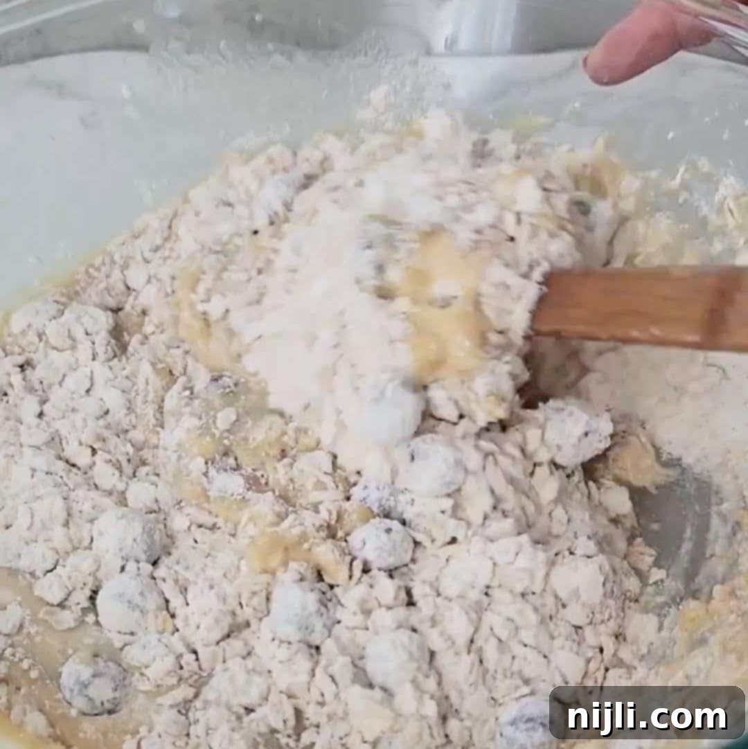 banana blueberry oatmeal muffins no sugar step 5