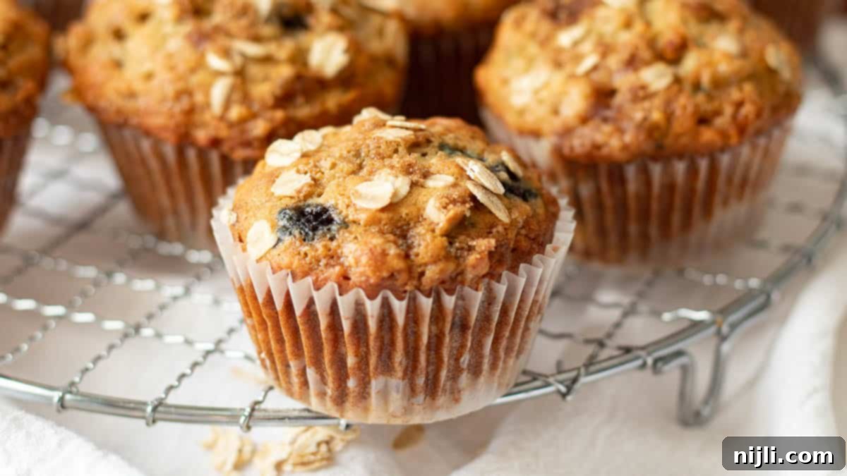 oatmeal banana blueberry muffins with no flour