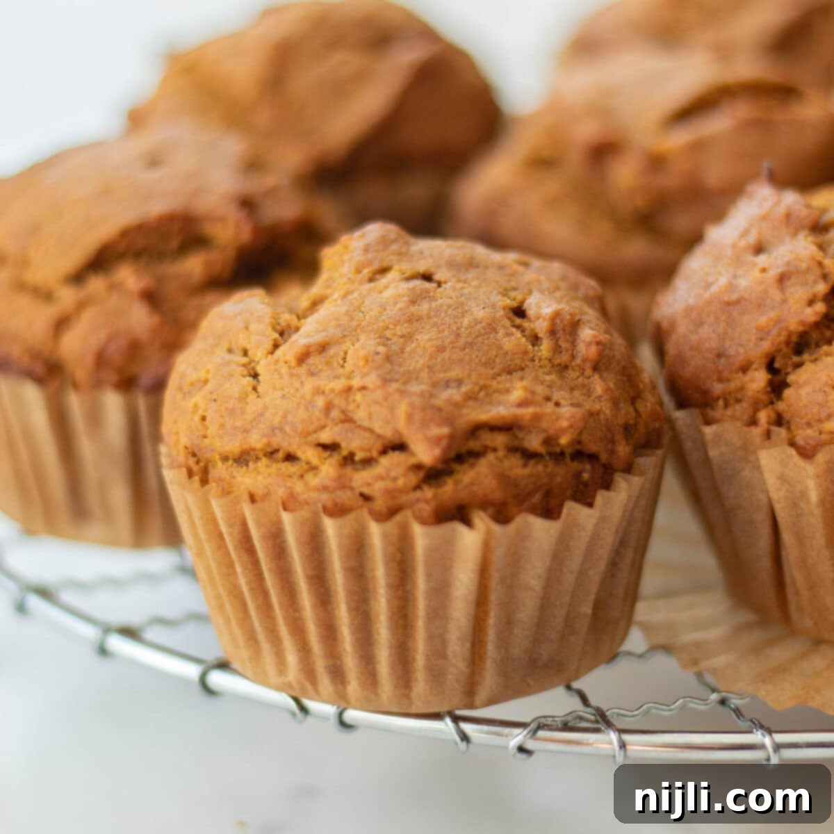 Spiced Banana Pumpkin Muffins 4 pumpkin banana muffins no egg