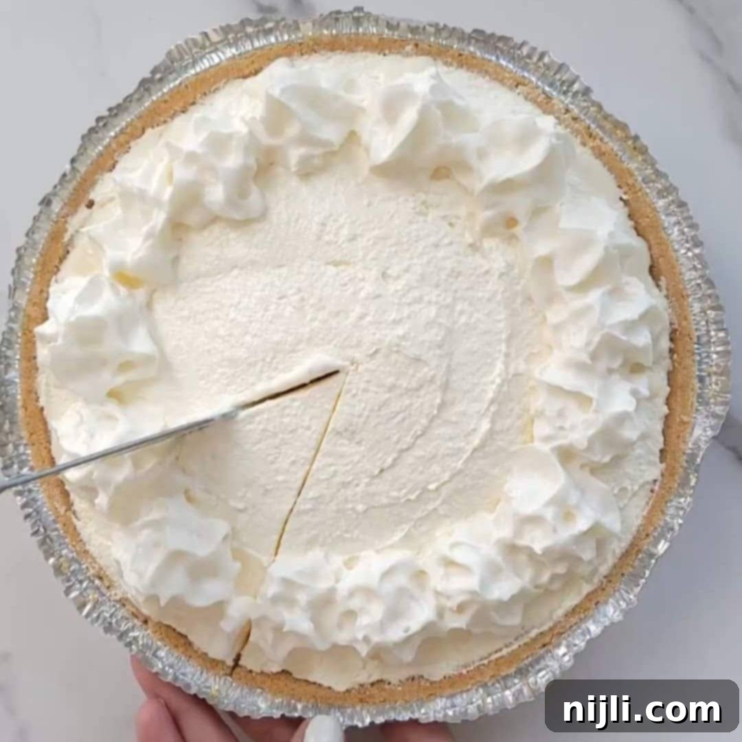 No-Bake Philadelphia Cool Whip Cheesecake 8 Step 4: Cover and chill the 3-ingredient no-bake cheesecake for at least 4 hours or overnight before serving.