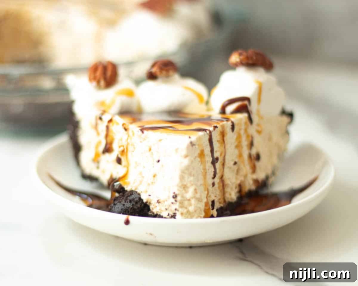 turtle pie edwards