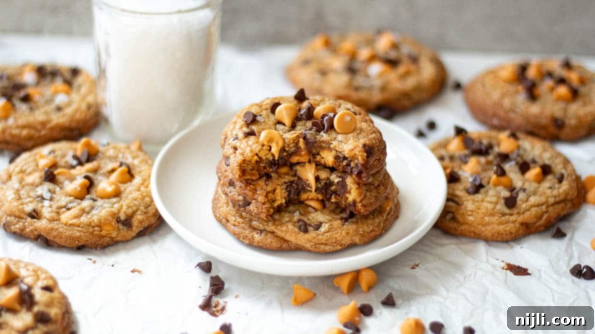 Butterscotch Chocolate Chip Cookies 13 nestle butterscotch chocolate chip cookies on a plate