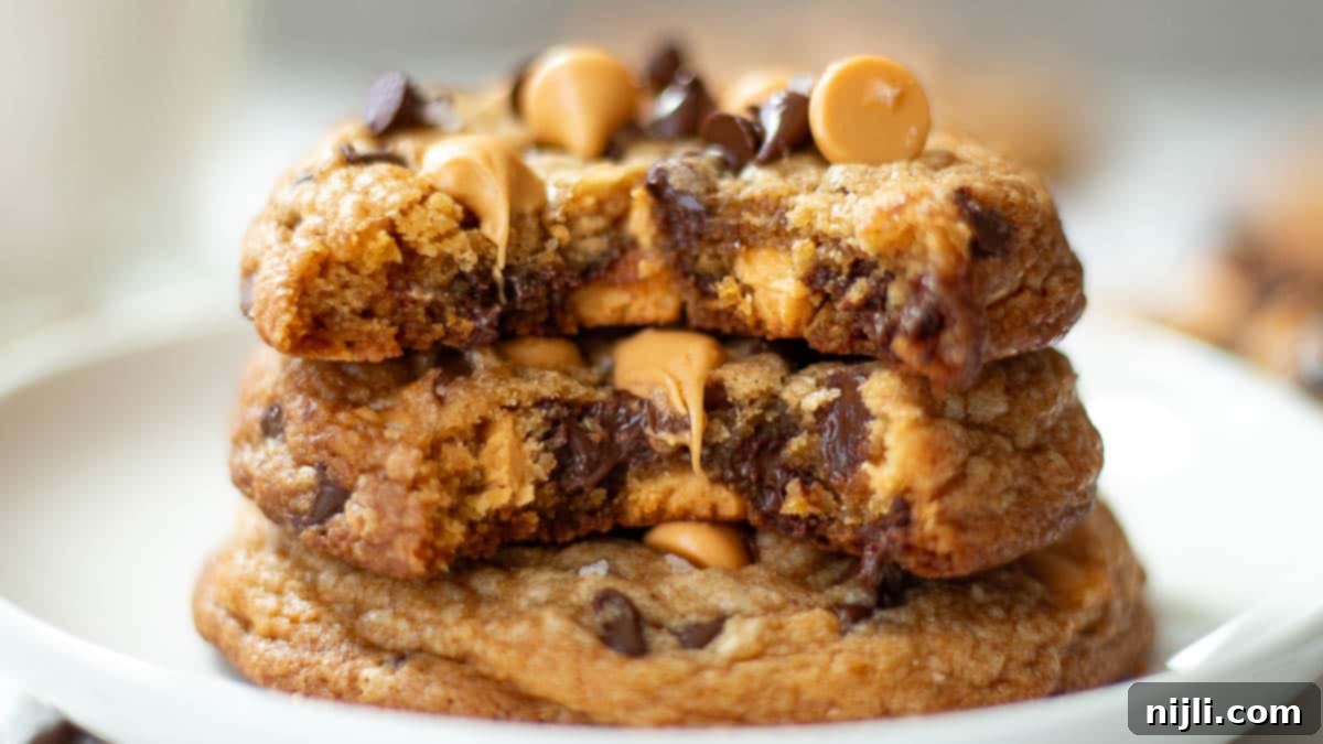 Butterscotch Chocolate Chip Cookies 14 chocolate chip butterscotch cookies pioneer woman