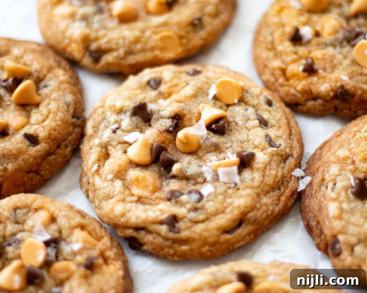 Butterscotch Chocolate Chip Cookies 3 butterscotch chocolate chip cookies on parchment