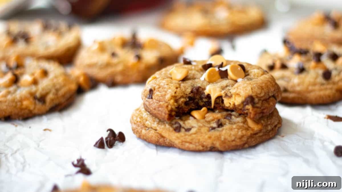 Butterscotch Chocolate Chip Cookies 4 butterscotch chocolate chip cookies pioneer woman
