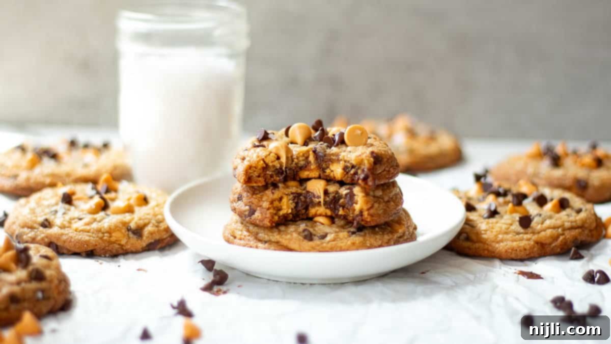 Butterscotch Chocolate Chip Cookies 6 oatmeal butterscotch chocolate chip cookies