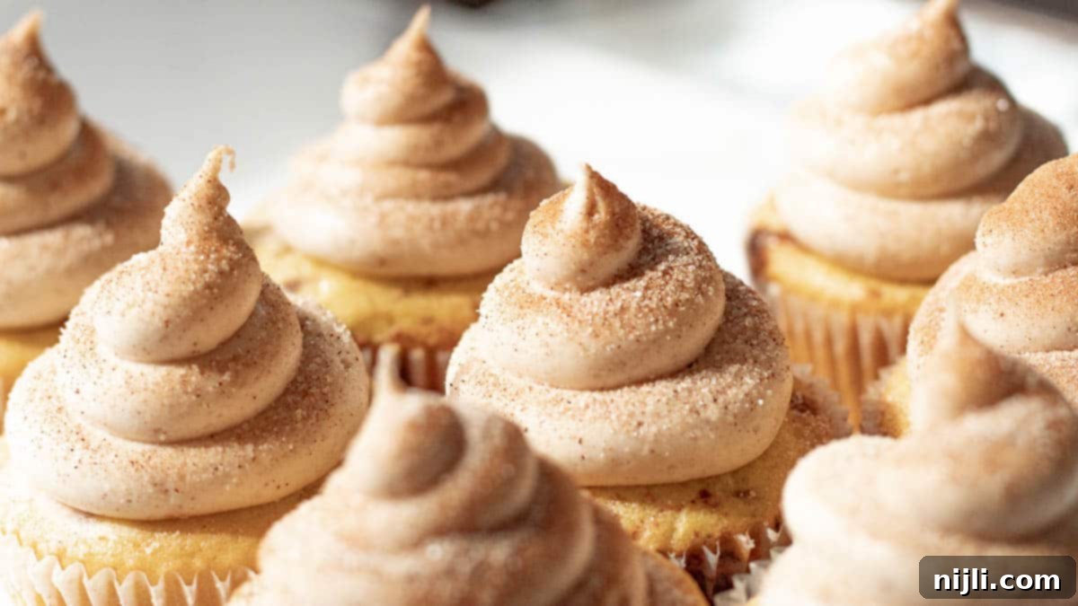 Cozy Cinnamon Cupcakes 11 moist cinnamon cupcakes