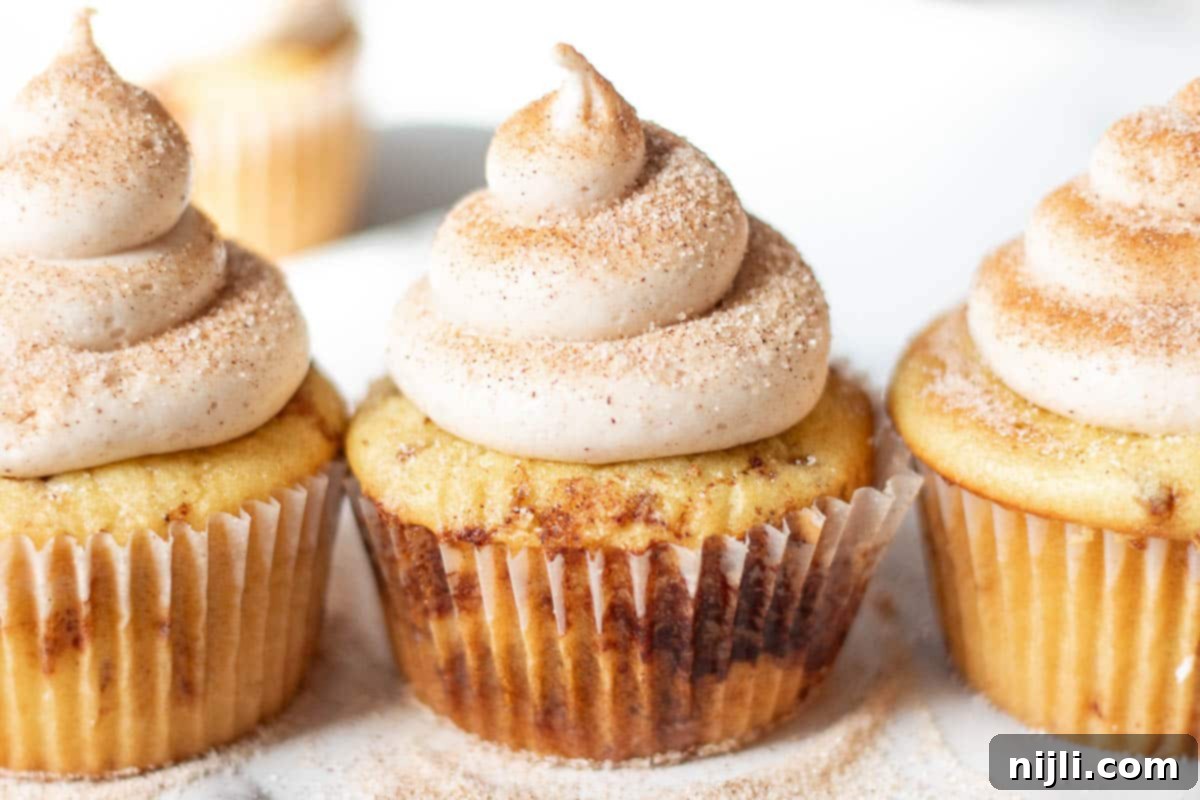 Cozy Cinnamon Cupcakes 5 cinnamon cupcakes with oil