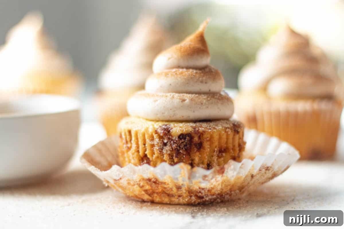 Cozy Cinnamon Cupcakes 6 sugar cinnamon cupcakes