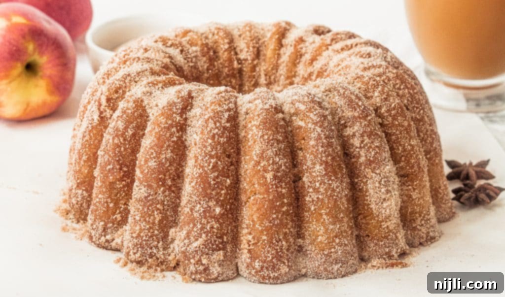 Pound Cake Versus Bundt Cake Explained 7 Apple Cider Donut Cake - Easy Bundt Cake Recipe with Fresh Apples and Cinnamon! | Chenée Today