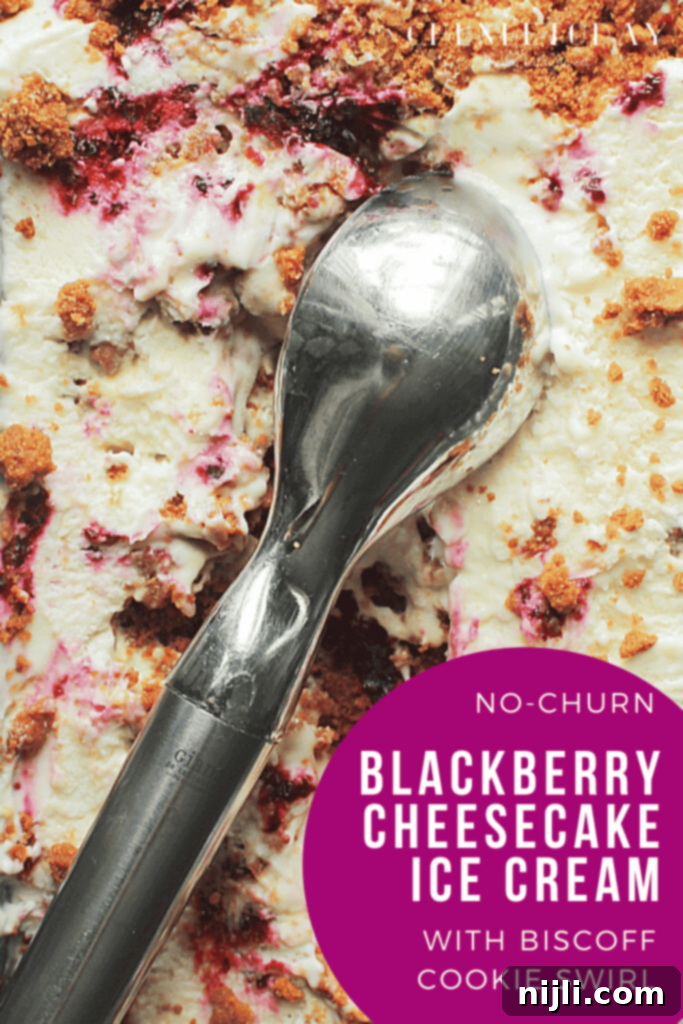 No-Churn Blackberry Cheesecake Biscoff Swirl Ice Cream 6 A Pinterest graphic for No-Churn Blackberry Cheesecake Ice Cream with Biscoff Swirl.