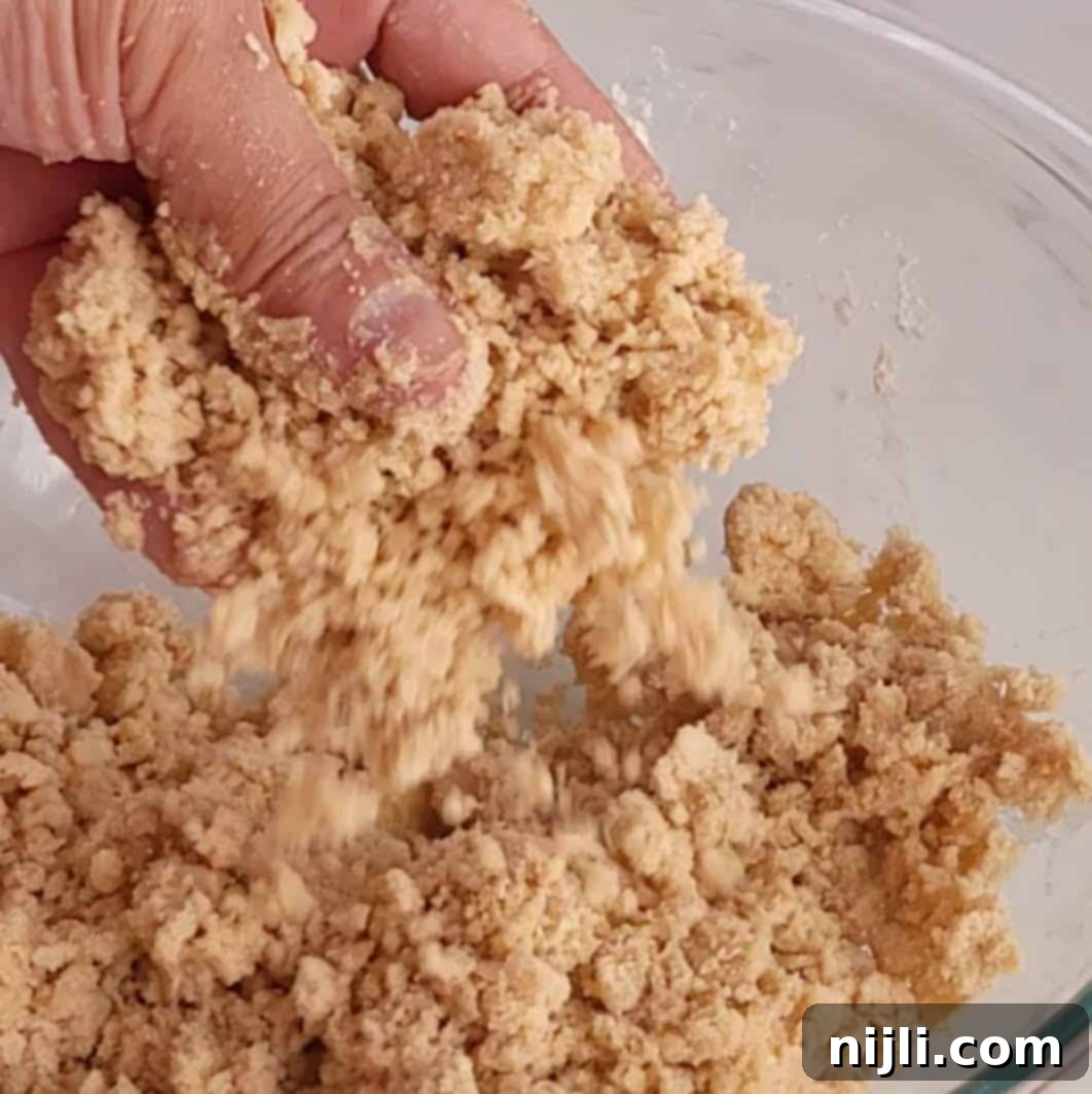 Irresistible Graham Cracker Apple Pie 7 apple pie with graham cracker crust - step 2