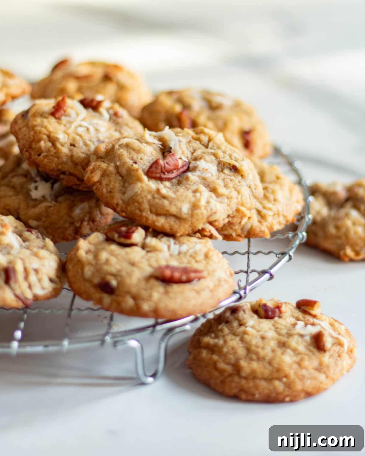 Irresistible Coconut Pecan Treats 5 easy coconut pecan cookies