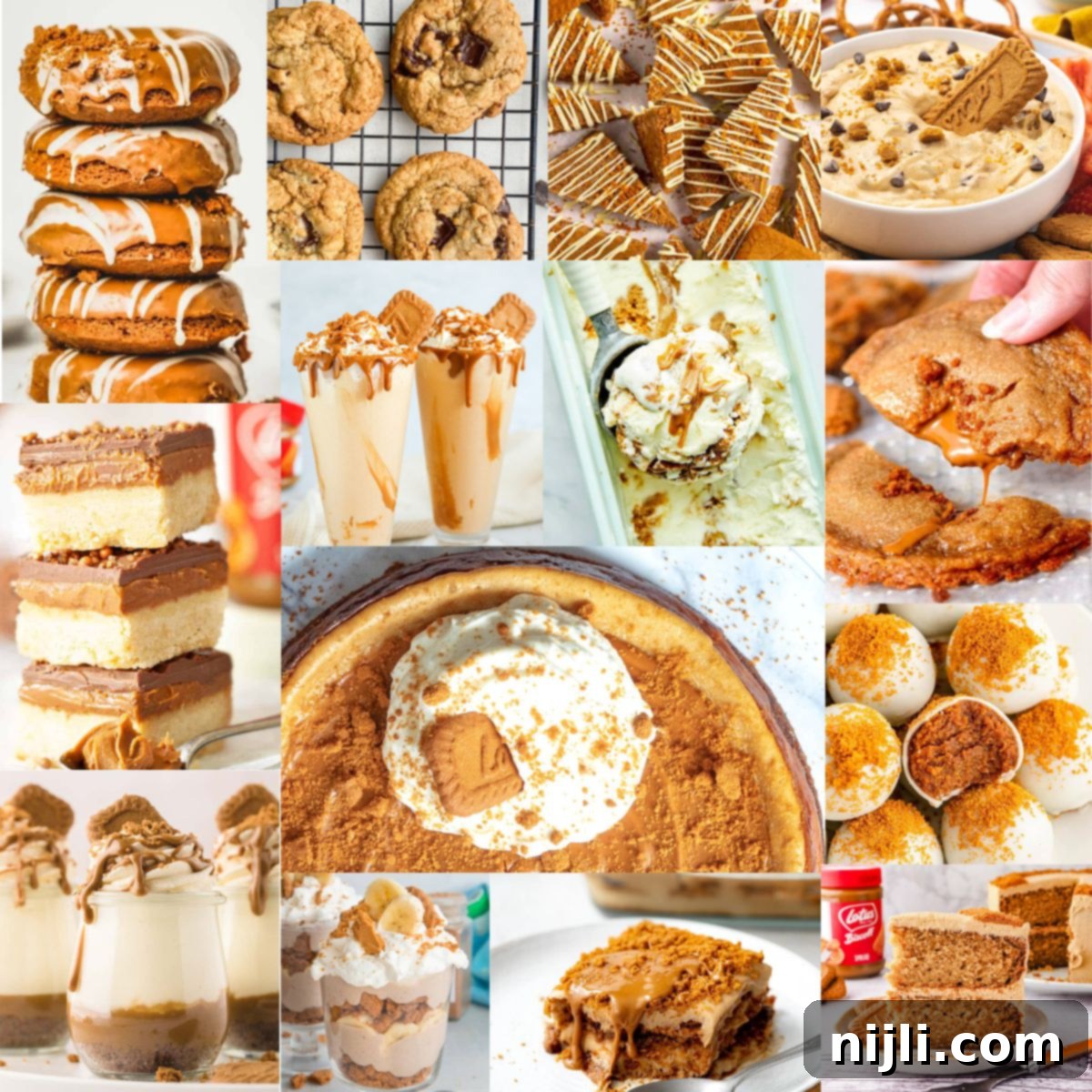 Over 40 Biscoff Delights You Have To Make 2 BISCOFF-recipes