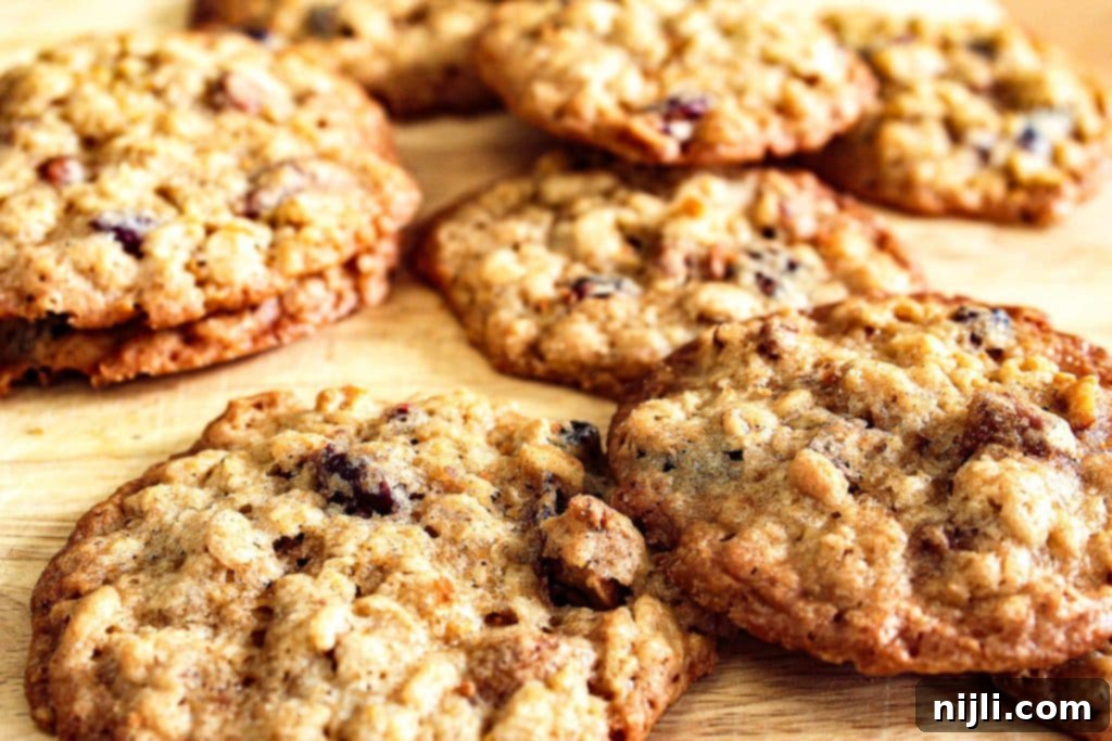 Chewy Oatmeal Cranberry Pecan Cookies 4 Close up of oatmeal cranberry pecan cookies, showing texture and ingredients