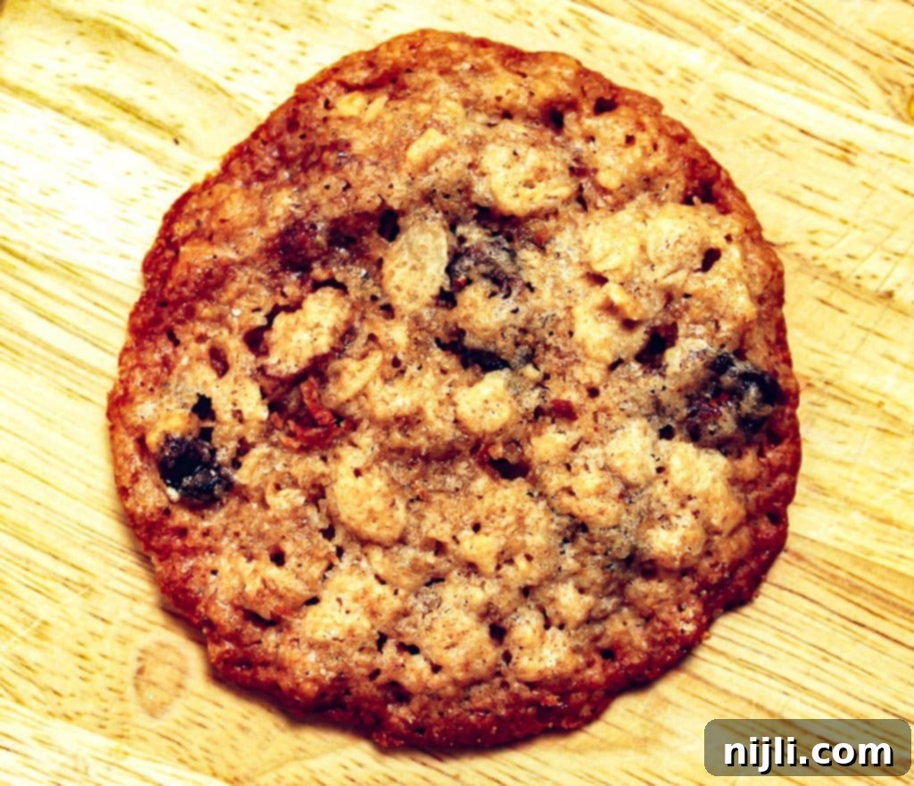 Chewy Oatmeal Cranberry Pecan Cookies 5 Close up of a single oatmeal cranberry pecan cookie, showing its chewy interior and crispy edges