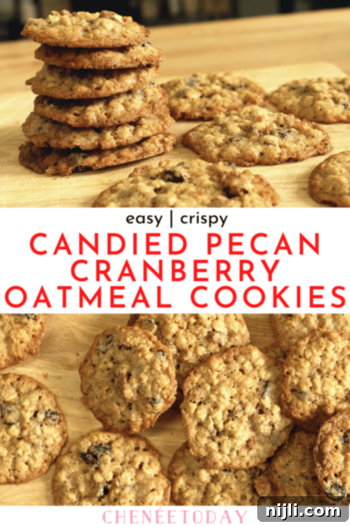 Chewy Oatmeal Cranberry Pecan Cookies 7 Oatmeal Cranberry Pecan Cookies Recipe banner for Pinterest, showing beautifully arranged cookies
