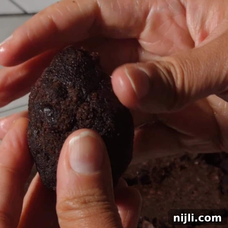 Delicious Pinecone Brownie Recipe 7 Hands shaping a brownie base into a rough oval, forming the foundation of a pinecone brownie. The rich chocolate texture is highlighted in the close-up.
