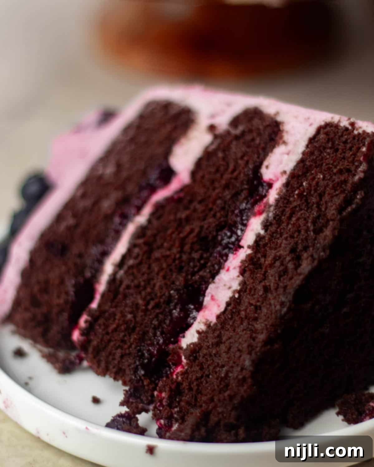 Chocolate Blueberry Delight 19 Chocolate blueberry cake slice served on a plate, with vibrant berry frosting and whole blueberries on the side.