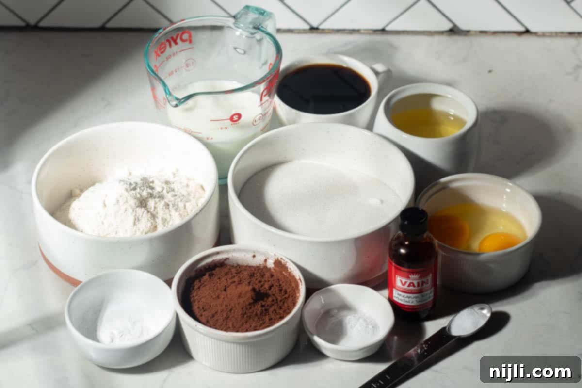 Chocolate Blueberry Delight 5 Ingredients for chocolate blueberry cake on a countertop—flour, sugar, cocoa powder, baking soda, eggs, milk, oil, coffee, and vanilla extract.