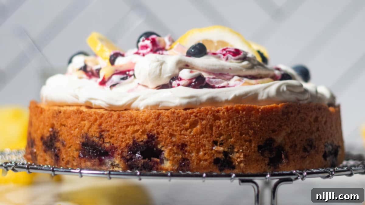 Sunny Lemon Blueberry Mascarpone Delight 6 Close-up side angle of a lemon blueberry mascarpone cake on a cooling rack, highlighting the golden cake base with baked-in blueberries and a thick layer of swirled mascarpone and lemon curd.
