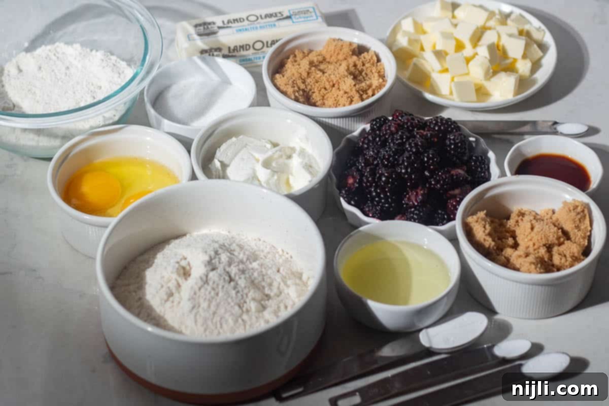 Homemade Blackberry Coffee Cake 4 Ingredients for blackberry coffee cake arranged on a countertop, including blackberries, sour cream, flour, brown sugar, white sugar, eggs, butter, vegetable oil, vanilla extract, and baking powder, baking soda, and salt in measuring spoons.