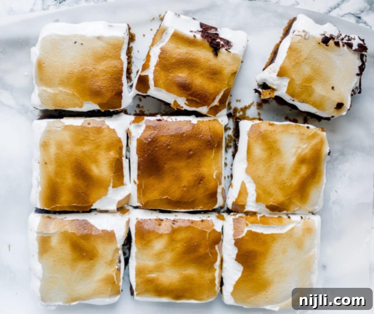 Fireside S'mores Brownie Squares 2 Homemade S'mores Brownies Recipe with Marshmallow Fluff | Chenée Today