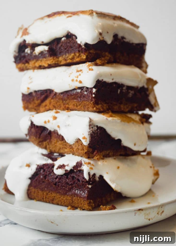 Fireside S'mores Brownie Squares 3 Gooey S'mores Brownies with toasted marshmallow